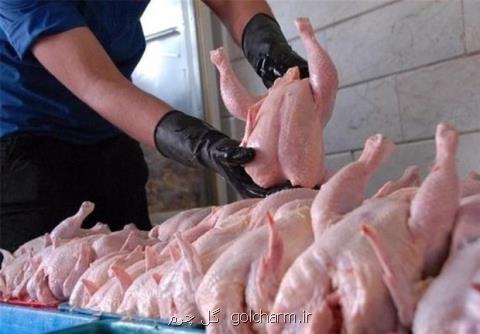 افزایش نرخ مرغ در بازار، قیمت به ۱۱ هزار و ۳۵۰ تومان رسید