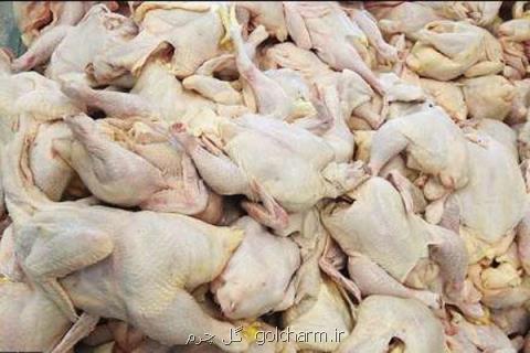 صادرات گوشت مرغ ممنوع می شود
